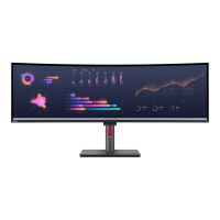 Lenovo ThinkVision P49w-30 - LED-Monitor - gebogen - 124.5 cm (49")