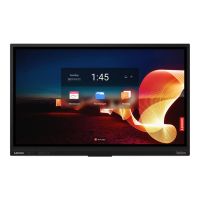 Lenovo ThinkVision T65, 165,1 cm (65"), LED, 3840 x 2160 Pixel, 4K Ultra HD, 16:9, IPS