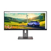 Lenovo ThinkVision P34WD-40 - LED-Monitor - gebogen - 86.4 cm (34")