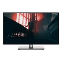 Lenovo ThinkVision P27q-30 - LED-Monitor - 68.6 cm (27")