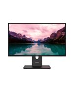 Lenovo ThinkVision T24-40 - LED-Monitor - 61 cm (24")